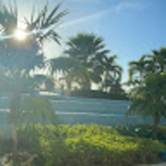 Meet your Posher, Maria - Picture 1 of 1